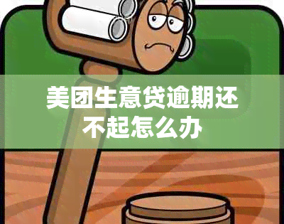 美团生意贷逾期还不起怎么办