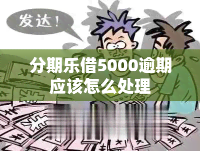 分期乐借5000逾期应该怎么处理