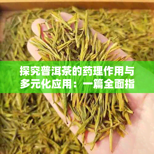 探究普洱茶的理作用与多元化应用：一篇全面指南