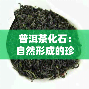 普洱茶化石：自然形成的珍稀奇观还是人工合成的艺术？