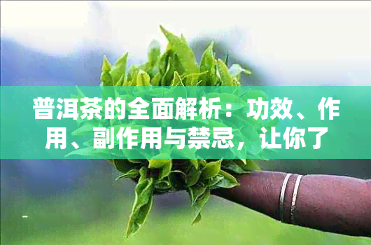 普洱茶的全面解析：功效、作用、副作用与禁忌，让你了解这款茶的所有信息