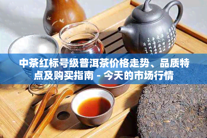 中茶红标号级普洱茶价格走势、品质特点及购买指南 - 今天的市场行情