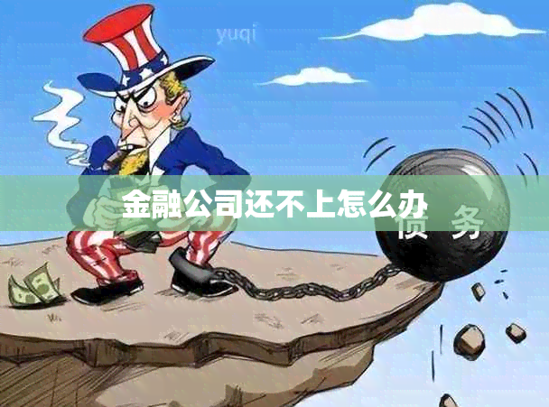 金融公司还不上怎么办