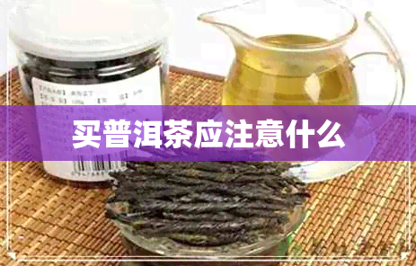 买普洱茶应注意什么