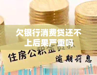 欠银行消费贷还不上后果严重吗