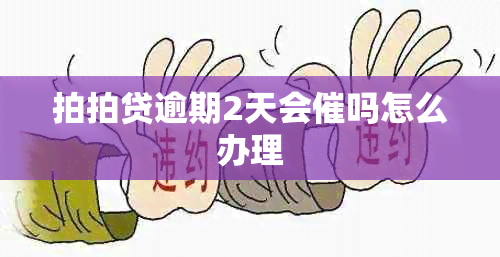 拍拍贷逾期2天会催吗怎么办理