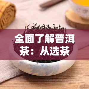 全面了解普洱茶：从选茶到冲泡，直播间带你深入解析