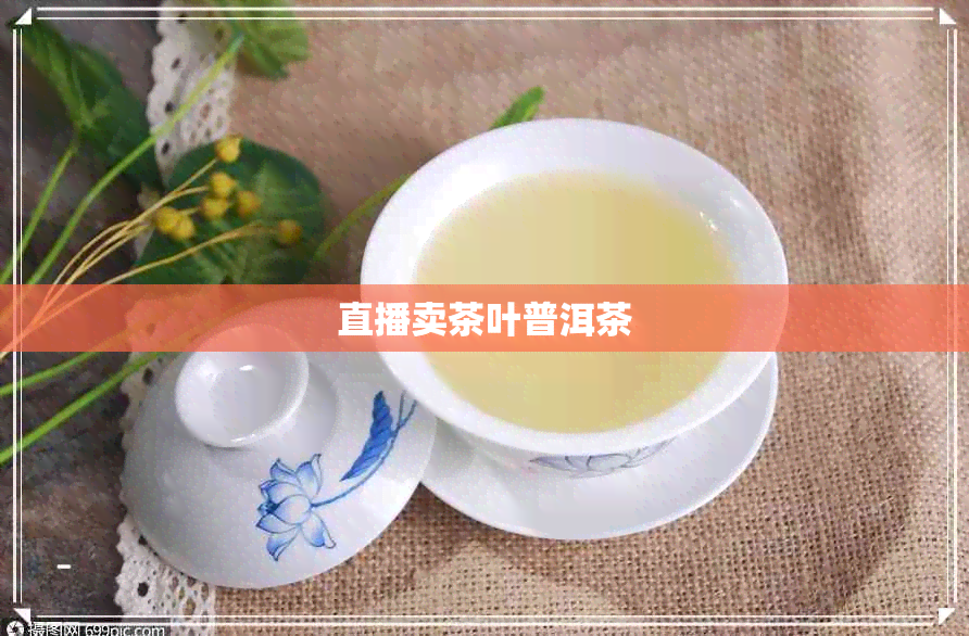 直播卖茶叶普洱茶