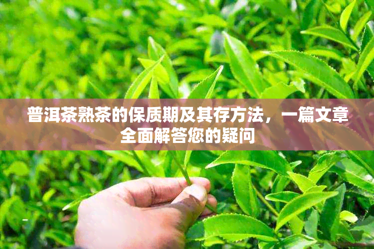 普洱茶熟茶的保质期及其存方法，一篇文章全面解答您的疑问