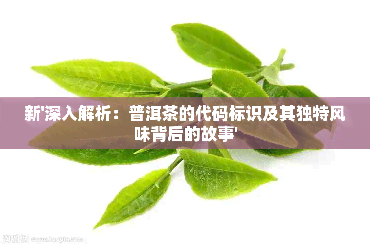 新'深入解析：普洱茶的代码标识及其独特风味背后的故事'