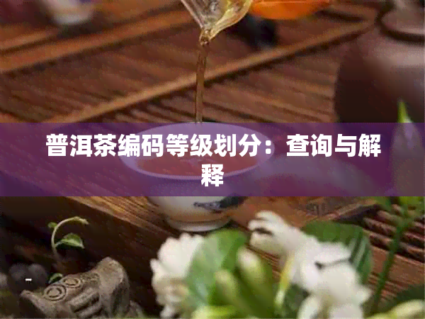 普洱茶编码等级划分：查询与解释