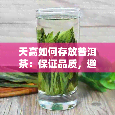 天高如何存放普洱茶：保证品质，避免变质