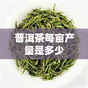 普洱茶每亩产量是多少