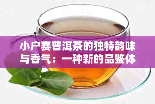 小户赛普洱茶的独特韵味与香气：一种新的品鉴体验