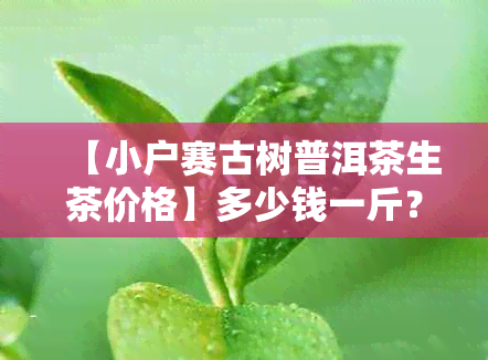 【小户赛古树普洱茶生茶价格】多少钱一斤？