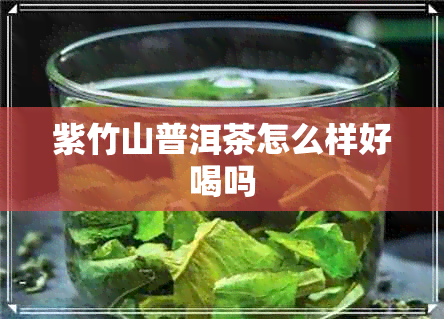 紫竹山普洱茶怎么样好喝吗