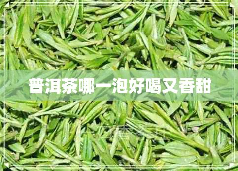 普洱茶哪一泡好喝又香甜