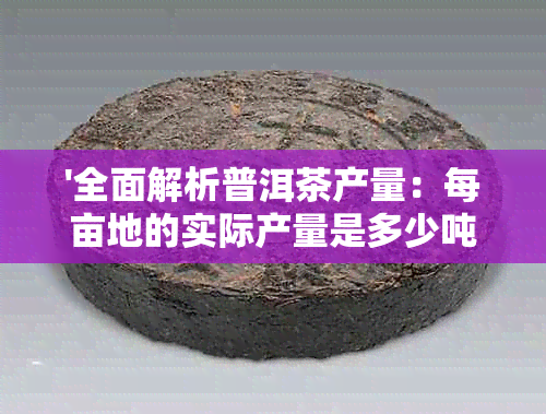 '全面解析普洱茶产量：每亩地的实际产量是多少吨？同时探讨影响产量的因素'