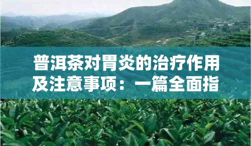 普洱茶对胃炎的治疗作用及注意事项：一篇全面指南