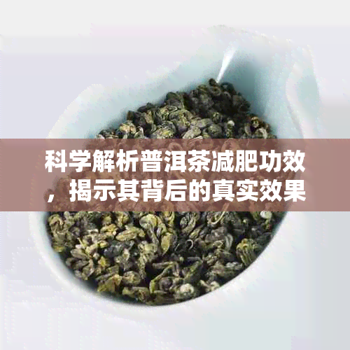 科学解析普洱茶减肥功效，揭示其背后的真实效果