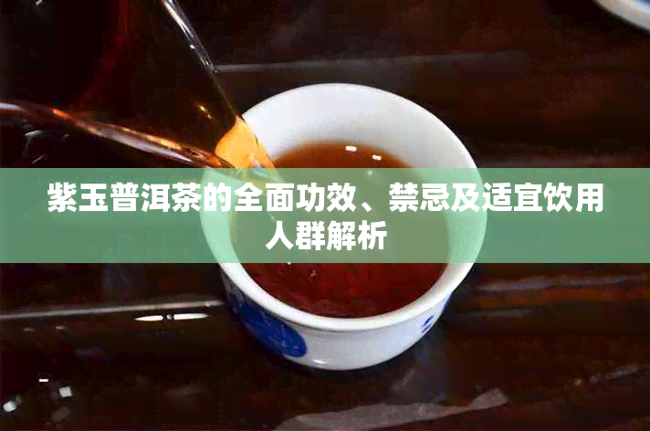 紫玉普洱茶的全面功效、禁忌及适宜饮用人群解析