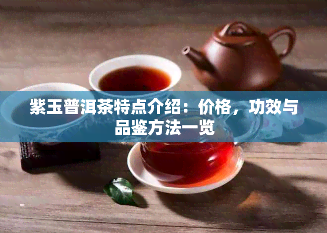 紫玉普洱茶特点介绍：价格，功效与品鉴方法一览