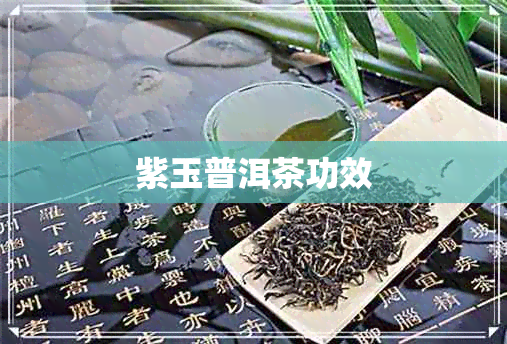 紫玉普洱茶功效