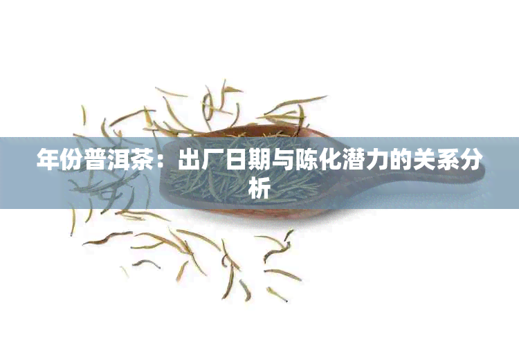 年份普洱茶：出厂日期与陈化潜力的关系分析