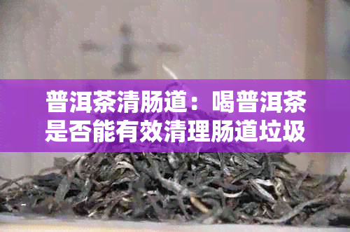 普洱茶清肠道：喝普洱茶是否能有效清理肠道垃圾？