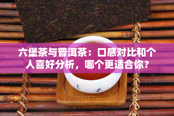 六堡茶与普洱茶：口感对比和个人喜好分析，哪个更适合你？