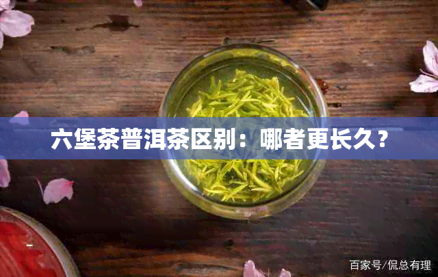 六堡茶普洱茶区别：哪者更长久？