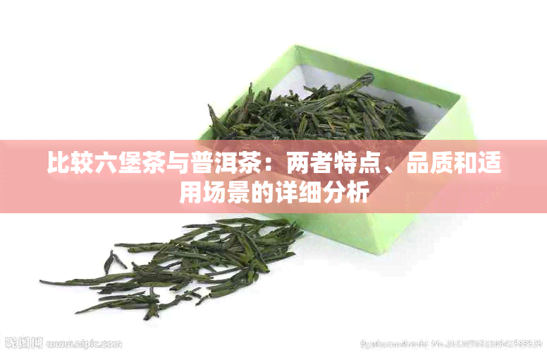 比较六堡茶与普洱茶：两者特点、品质和适用场景的详细分析