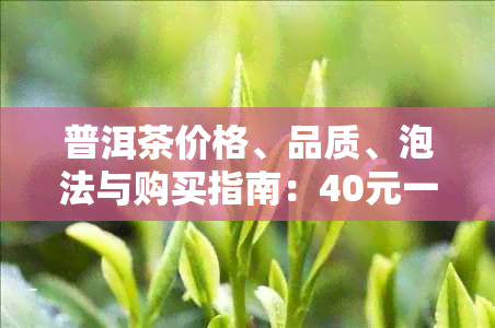 普洱茶价格、品质、泡法与购买指南：40元一斤的普洱茶是否值得购买？