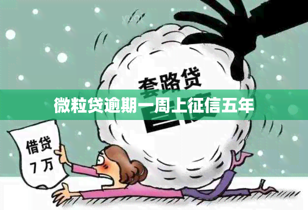 微粒贷逾期一周上五年