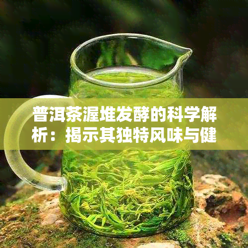 普洱茶渥堆发酵的科学解析：揭示其独特风味与健益处