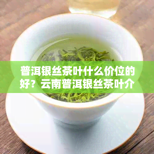 普洱银丝茶叶什么价位的好？云南普洱银丝茶叶介绍与推荐