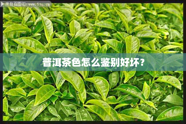 普洱茶色怎么鉴别好坏？