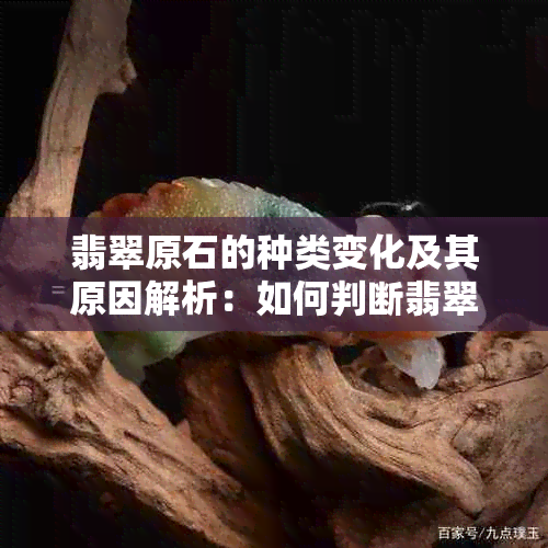 翡翠原石的种类变化及其原因解析：如何判断翡翠原石的品质和种类？