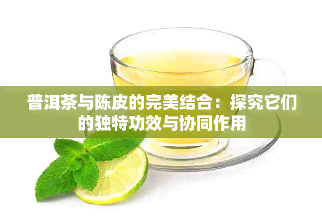 普洱茶与陈皮的完美结合：探究它们的独特功效与协同作用