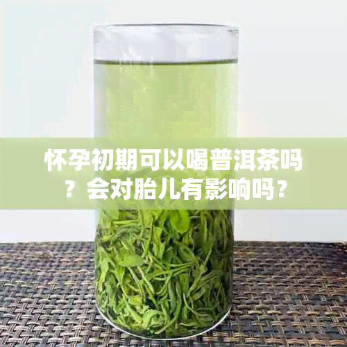 怀孕初期可以喝普洱茶吗？会对胎儿有影响吗？