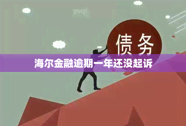 海尔金融逾期一年还没起诉