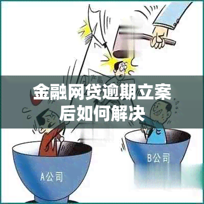 金融网贷逾期立案后如何解决