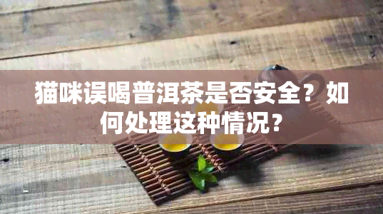 猫咪误喝普洱茶是否安全？如何处理这种情况？