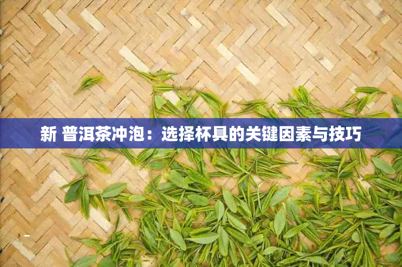 新 普洱茶冲泡：选择杯具的关键因素与技巧