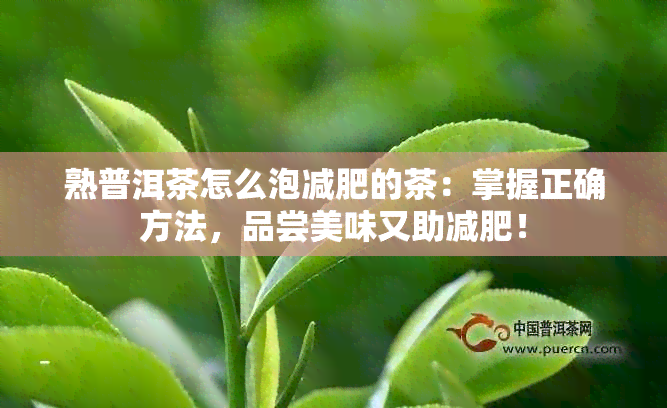 熟普洱茶怎么泡减肥的茶：掌握正确方法，品尝美味又助减肥！