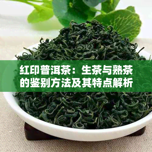 红印普洱茶：生茶与熟茶的鉴别方法及其特点解析