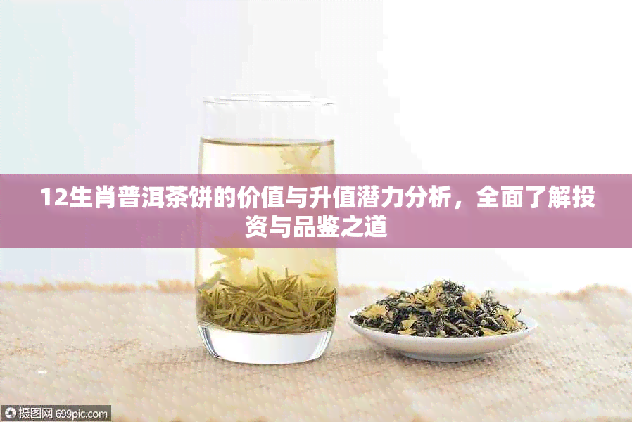 12生肖普洱茶饼的价值与升值潜力分析，全面了解投资与品鉴之道