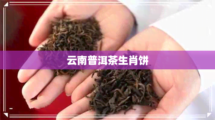 云南普洱茶生肖饼