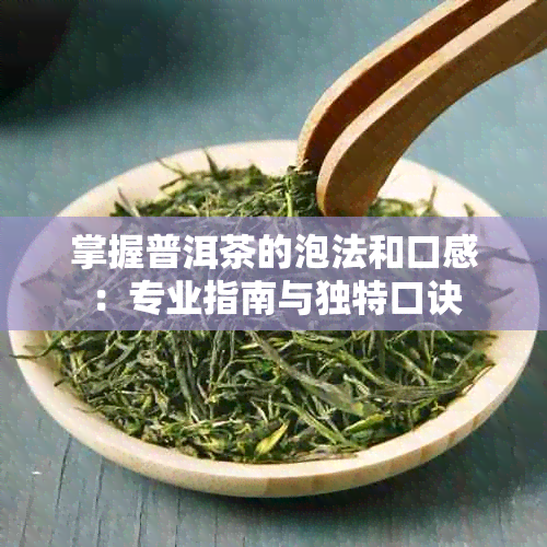 掌握普洱茶的泡法和口感：专业指南与独特口诀