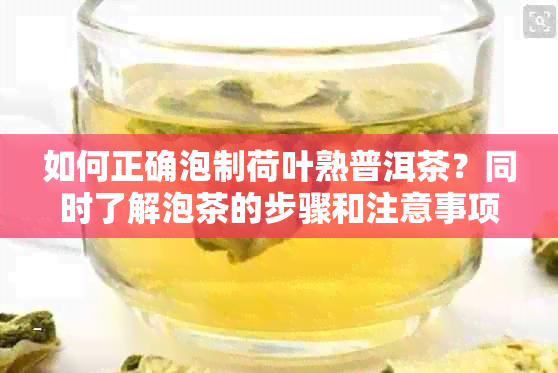 如何正确泡制荷叶熟普洱茶？同时了解泡茶的步骤和注意事项